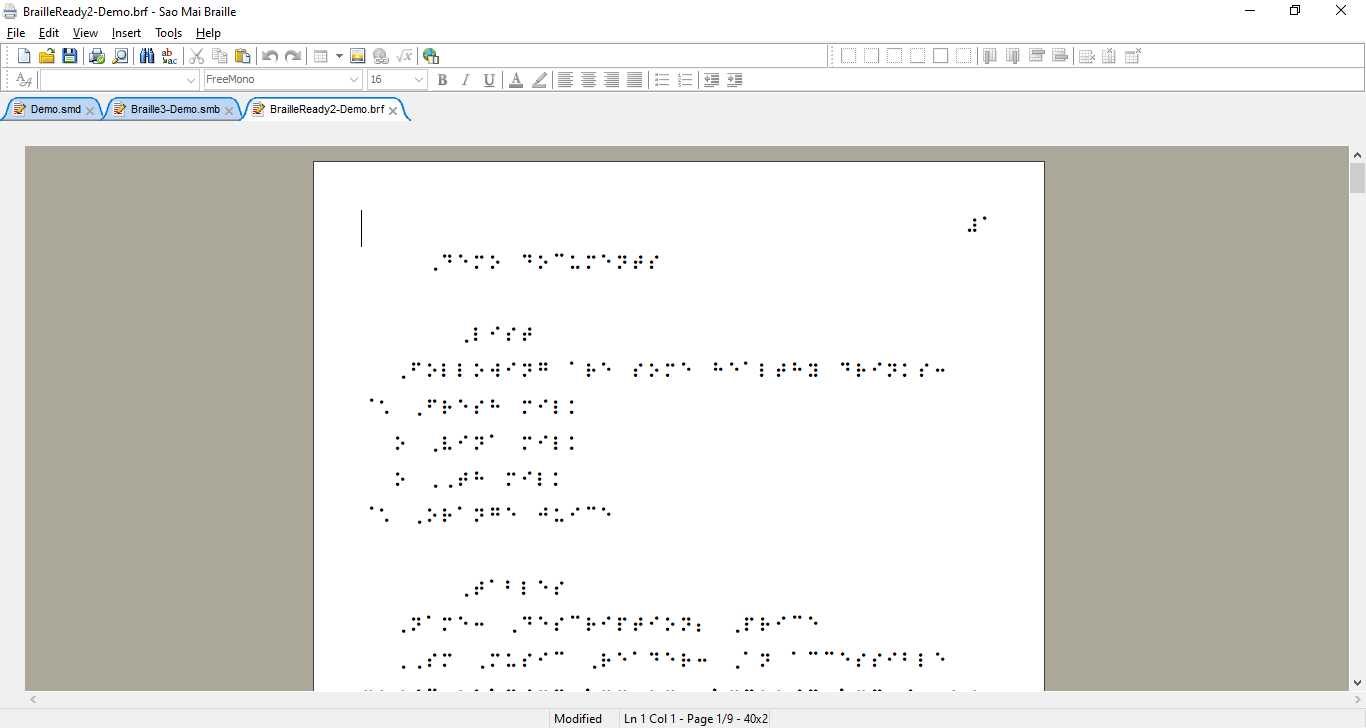 Braille document window